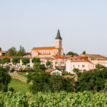 Abonnement Prestige (Juliénas)