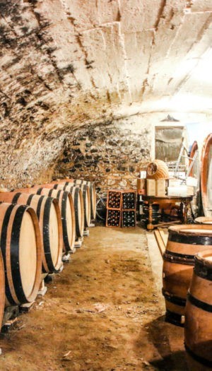 Abonnement Privilège (Juliénas)