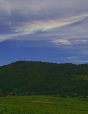 Read more about the article Un dimanche au Domaine pour la floraison