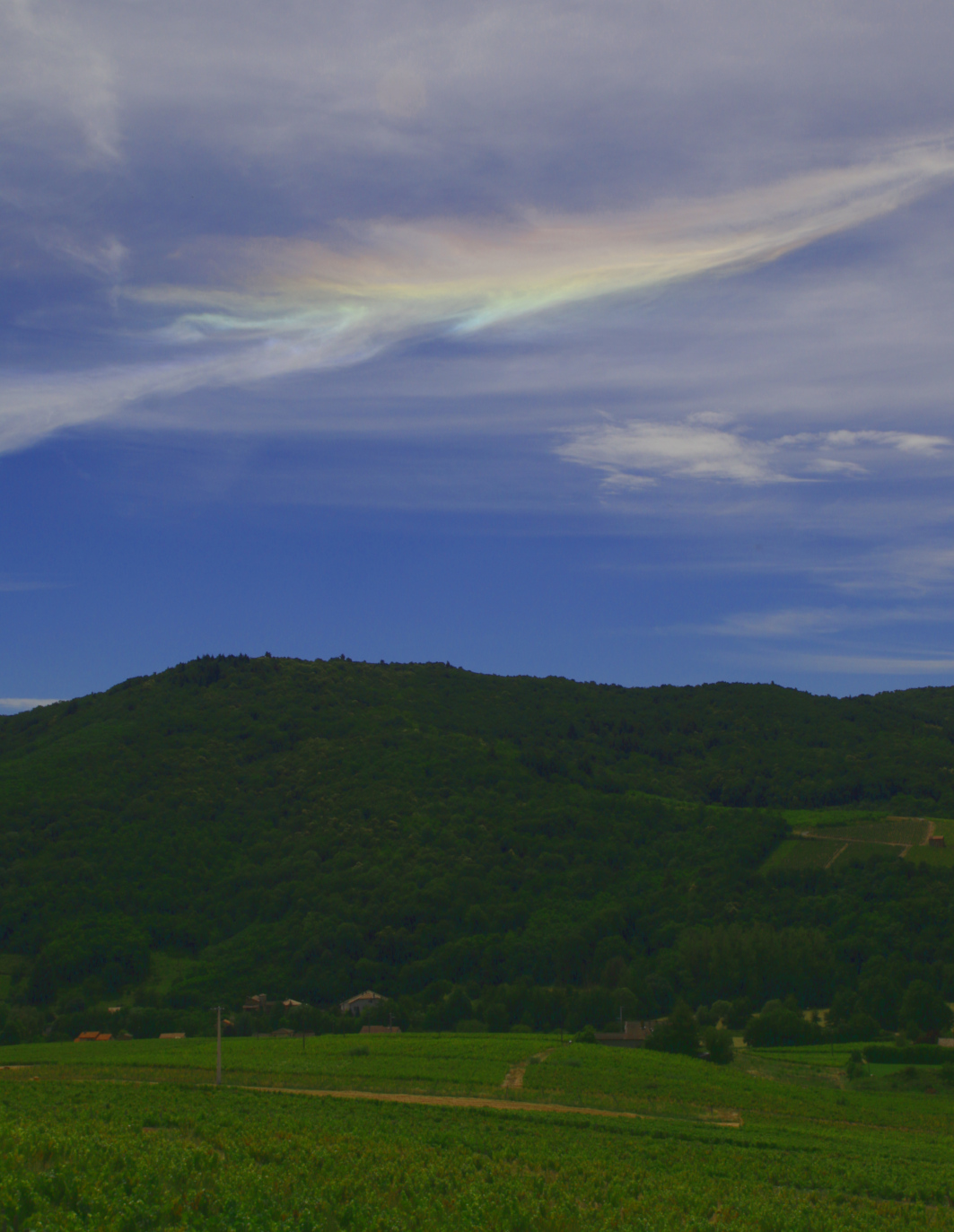 You are currently viewing Un dimanche au Domaine pour la floraison