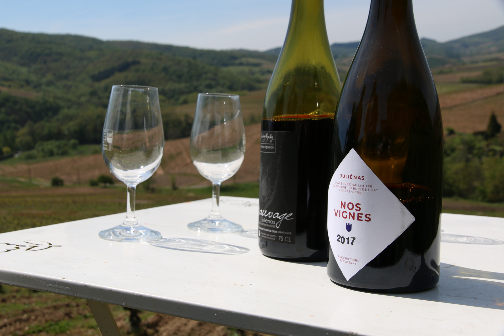 Dégustation Juliénas et Saint-Véran Dégustation vin