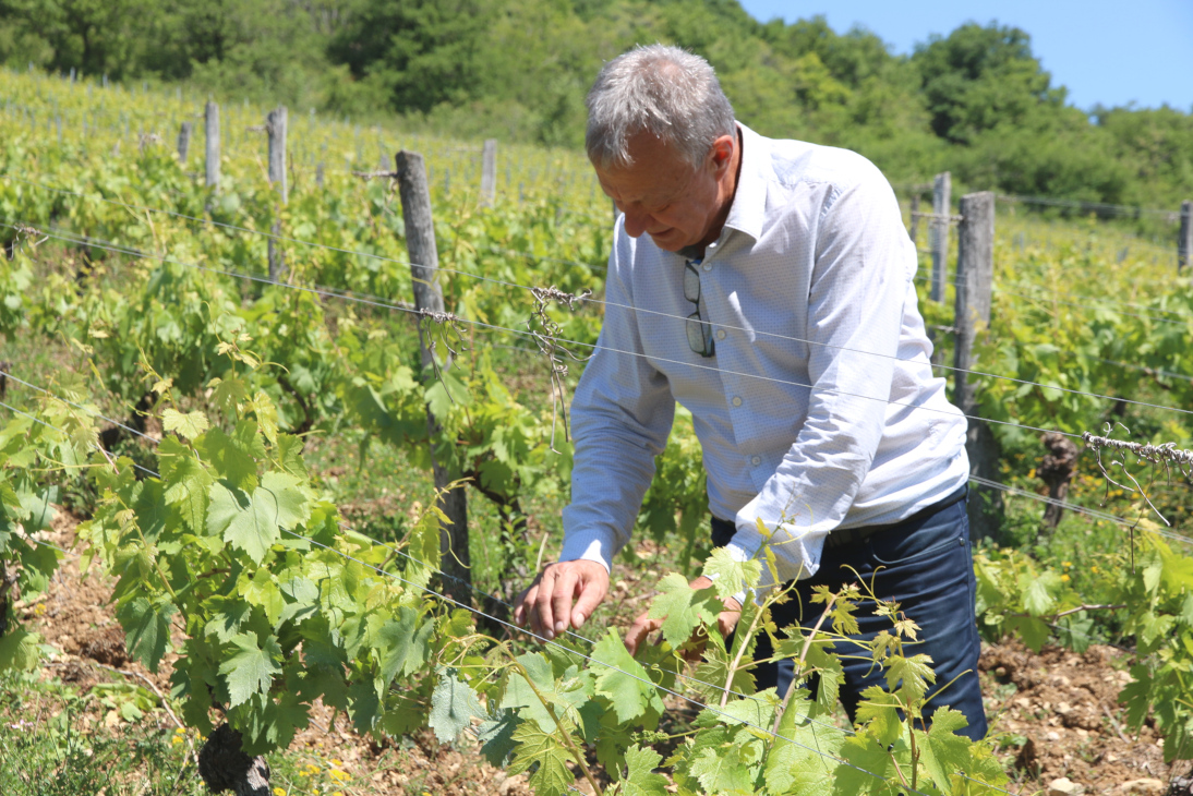 You are currently viewing Meilleur Sommelier de France