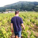 Abonnement Découverte (Juliénas)