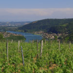 Abonnement Découverte (St Joseph)