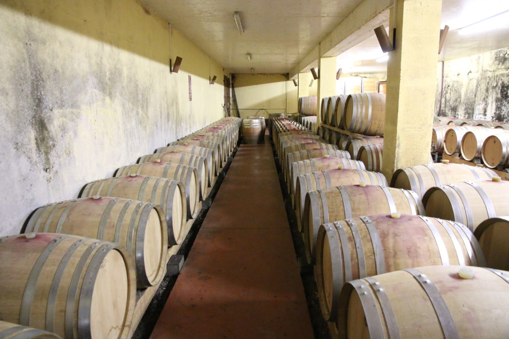 Abonnement Prestige Saint-Joseph