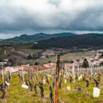 Abonnement Prestige (St Véran)