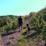 Abonnement Privilège (St Joseph)