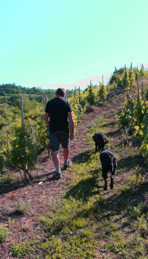 Abonnement Privilège (St Joseph)