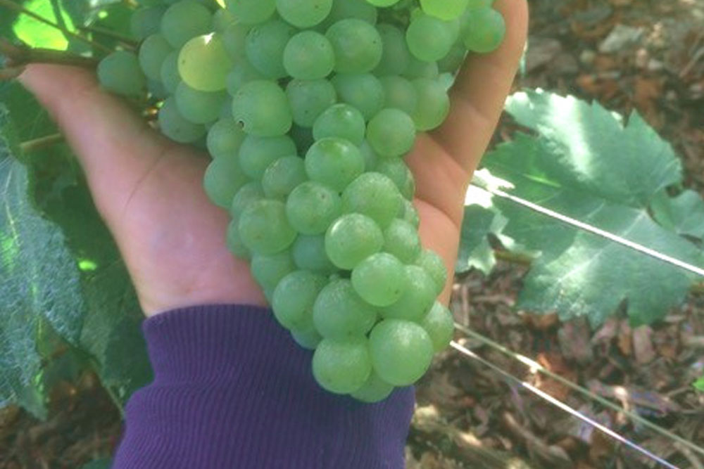 Abonnement Privilège champagne