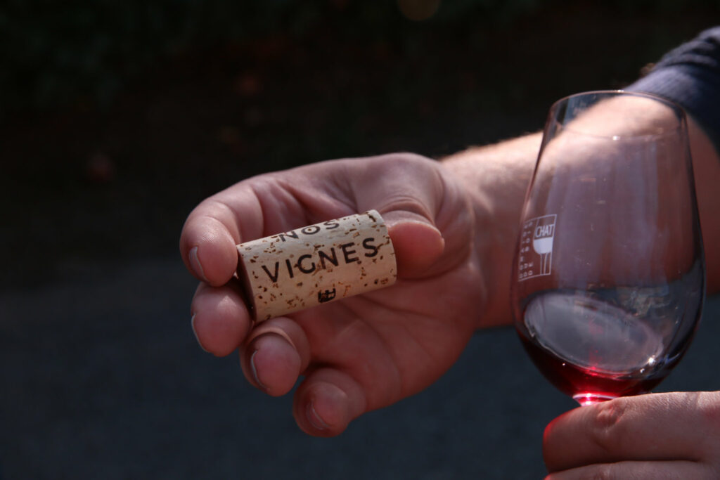 Cours d'œnologie Nos Vignes